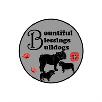  Bountiful Blessings Bulldogs